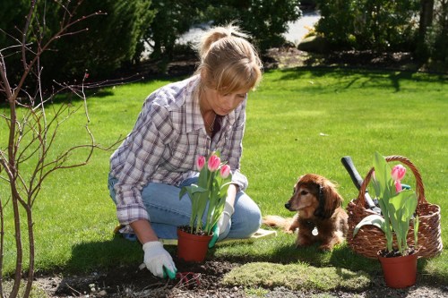 Gardener pruning shrubs in a lush Colindale garden