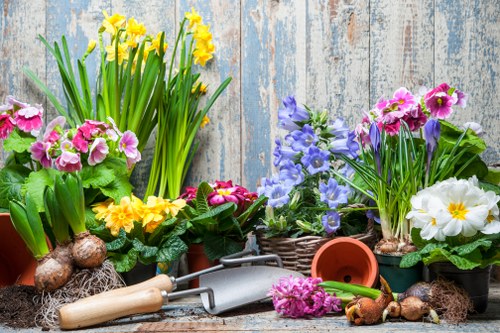 Professional garden maintenance services in Colindale